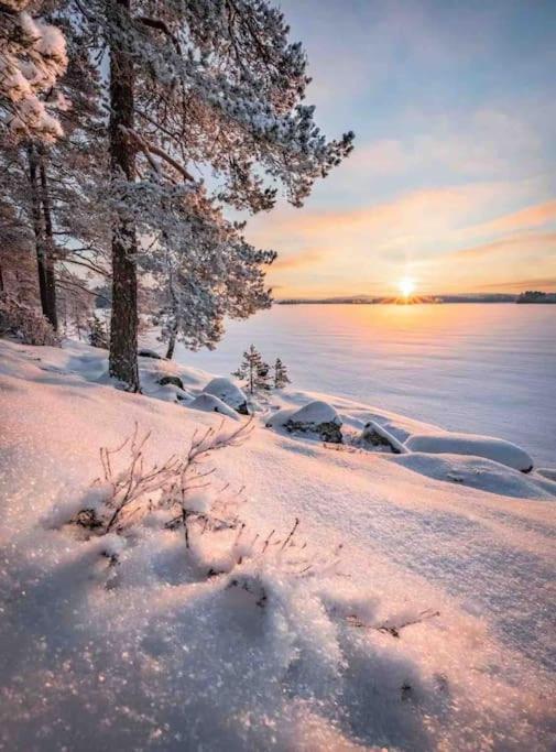 1 B1B Lake Cabin/Walk To Lake/Boulder Bay Park บิ๊กแบร์เลค ภายนอก รูปภาพ